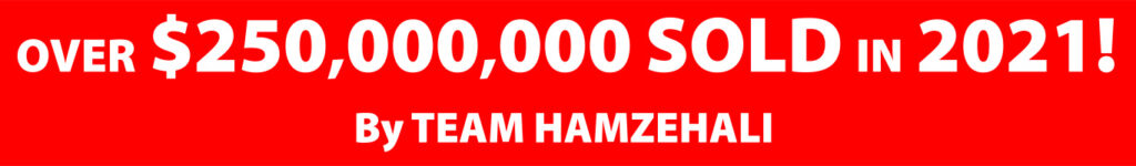 Amir Hamzehali