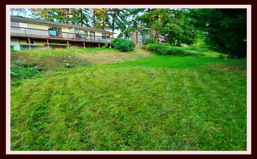 10027 120, Surrey, BC V3V 4E3, 4 Bedrooms Bedrooms, ,2 BathroomsBathrooms,Multifamily,For Sale,120,R2480491
