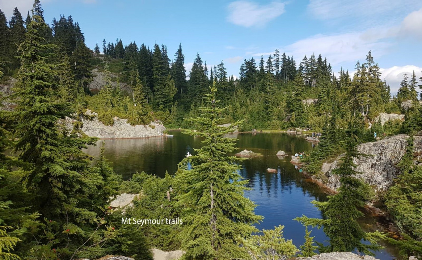 Bike or drive to Mount Seymour trails and ski slopes