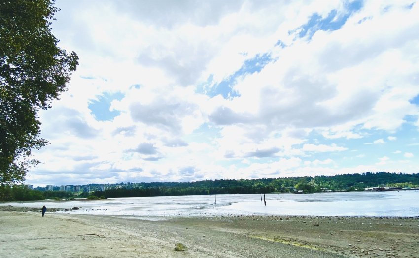 BEAUTIFUL VIEWS FACING ROCKY POINT / INLET