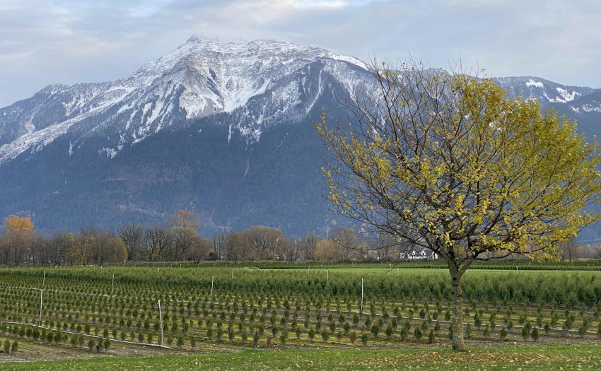 Surrounded by mountain views...