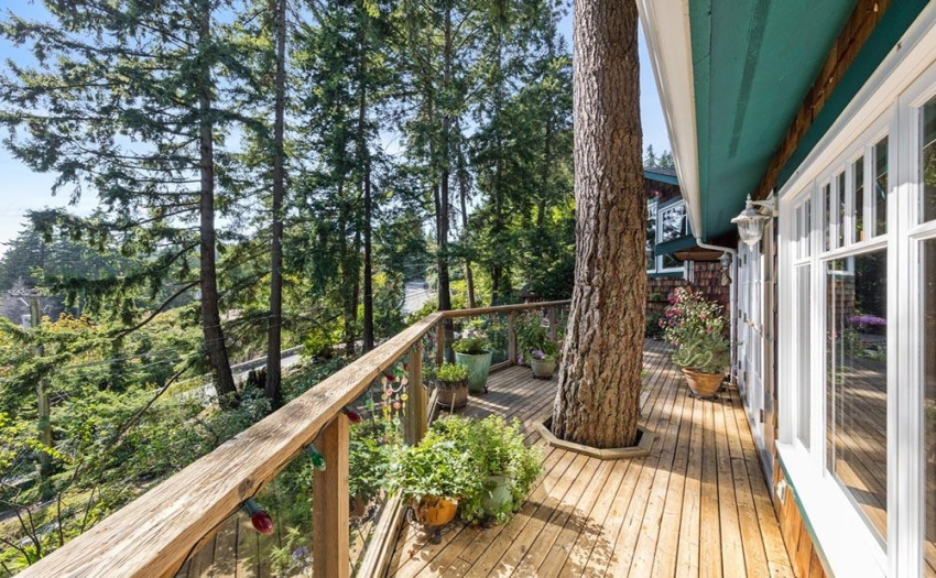 Wood decks surround the home providing ample areas to sit and enjoy the birds and the views.  Here the owners preserved a tree and cleverly built around it!