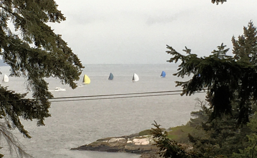 Watching the sail boats from the livingroom.