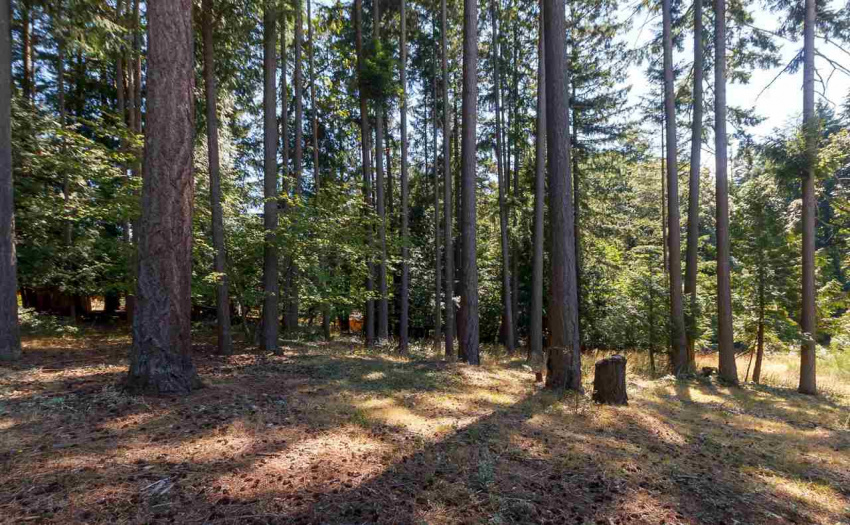3469 UPLANDS, No City Value, BC V9T 2T4, 4 Bedrooms Bedrooms, ,2 BathroomsBathrooms,Multifamily,For Sale,UPLANDS,R2528253