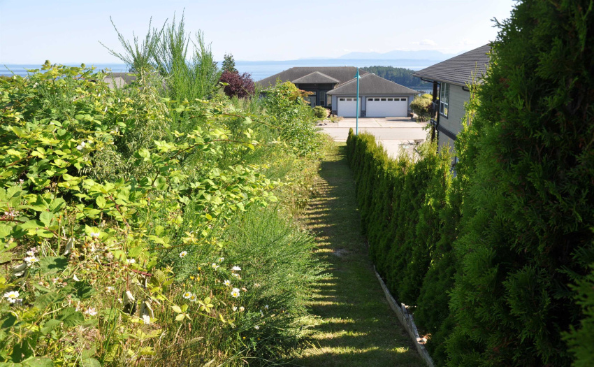 Easy path access on West side of property to get to the highest point on the North side of the Lot.