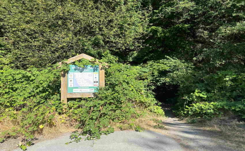 Chapman Creek Trail section of Suncoaster Trail just at the end of the Road