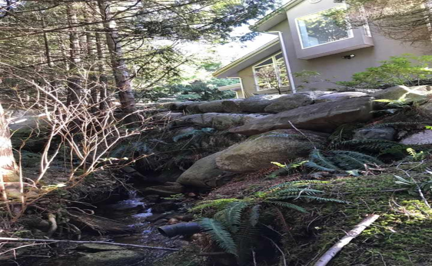 This is a picture of the creek/water running down the side of the house.