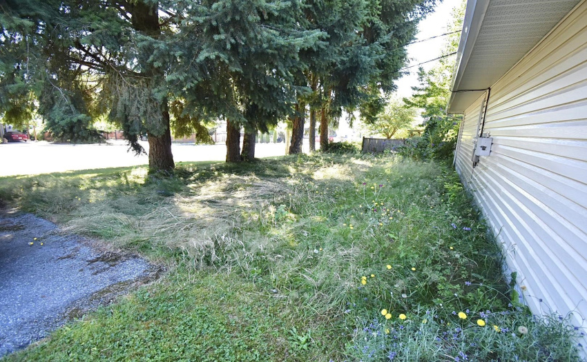 Common area bee and insect pollinator corridor.