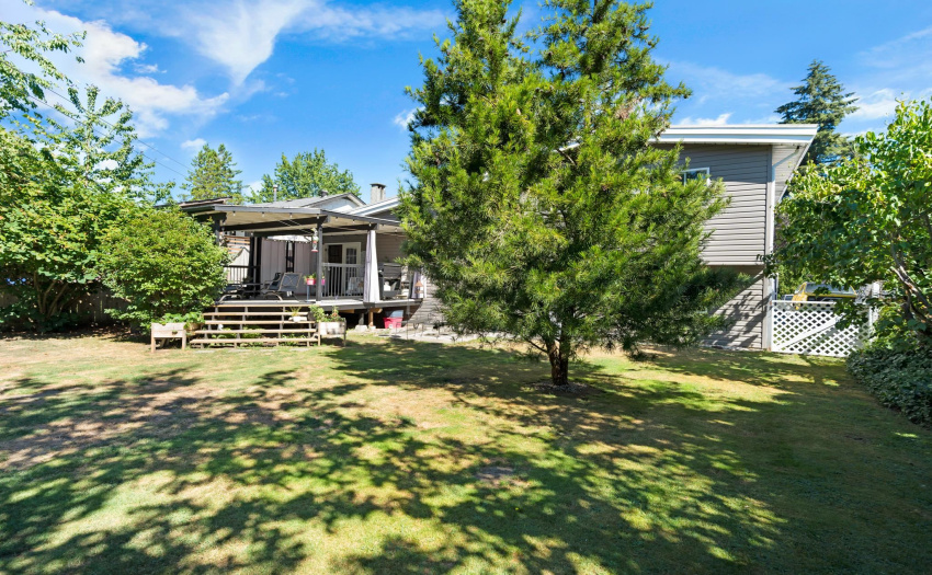 35. Backyard view to house