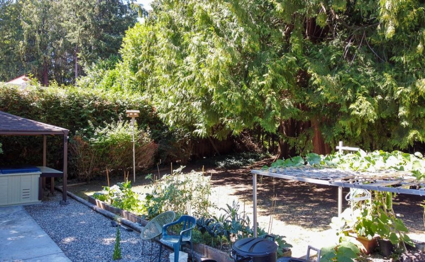 And extremely private back yard!