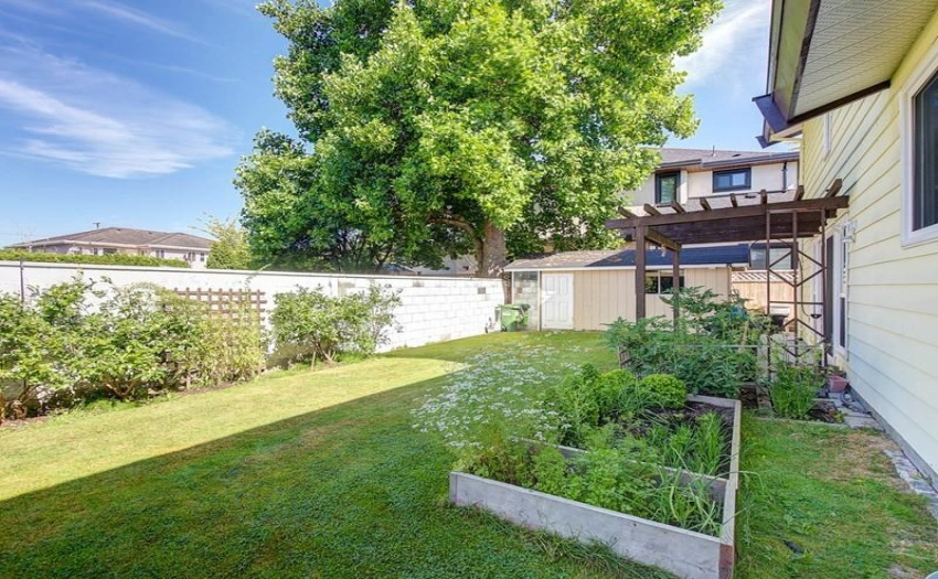 Open and Private back Yard
