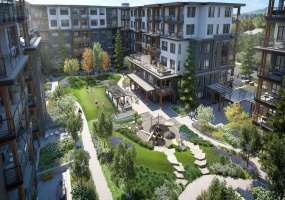Developer rendering