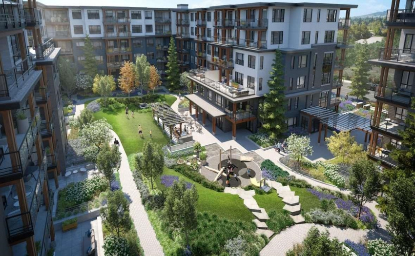 Developer rendering