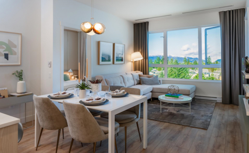 Developer rendering