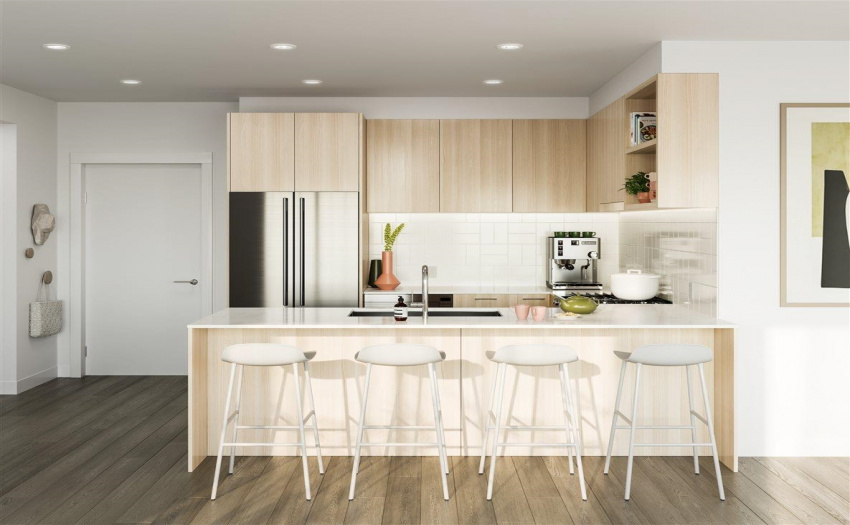 Developer rendering