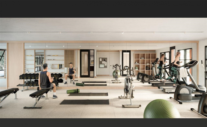 Developer rendering
