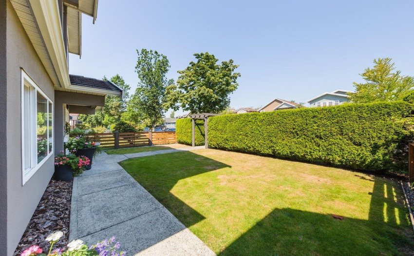 Sunny front yard with privacy hedges