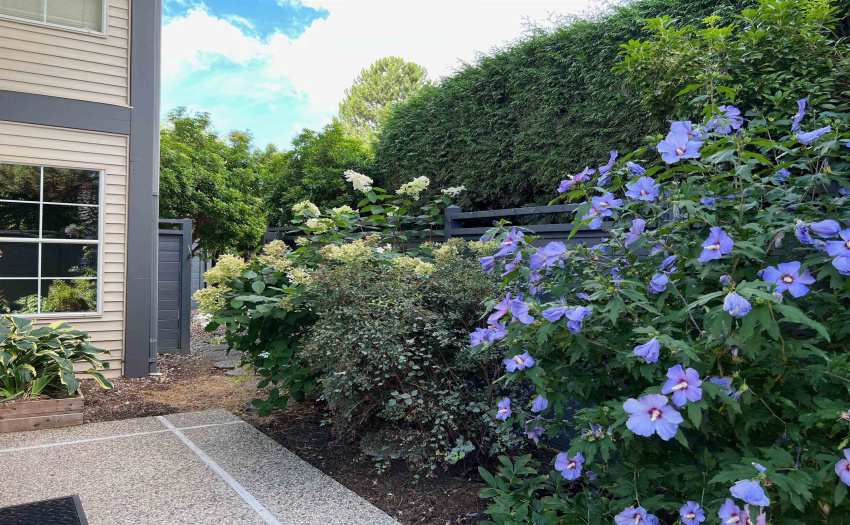 With gate to parking area