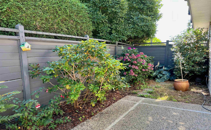 Concrete Patio