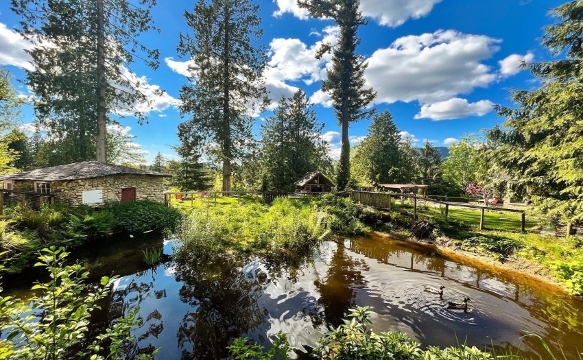 Rainwater pond. Can convert to pool.