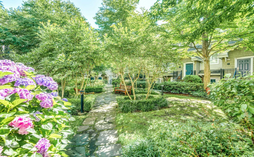The Pemberley - a garden retreat surrounded by forest