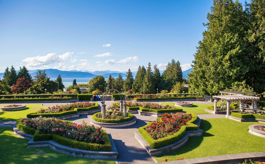 UBC Rose Garden