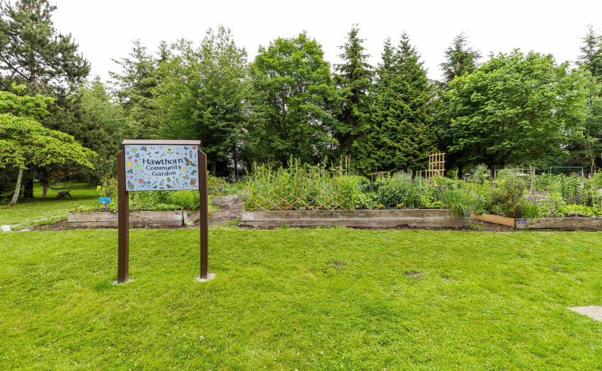 Hawthorn Place Community Garden