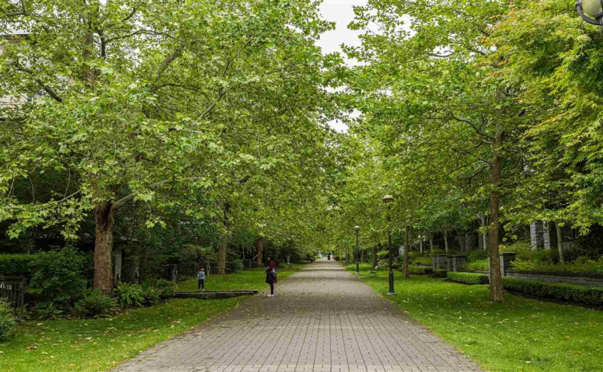 Green Belt