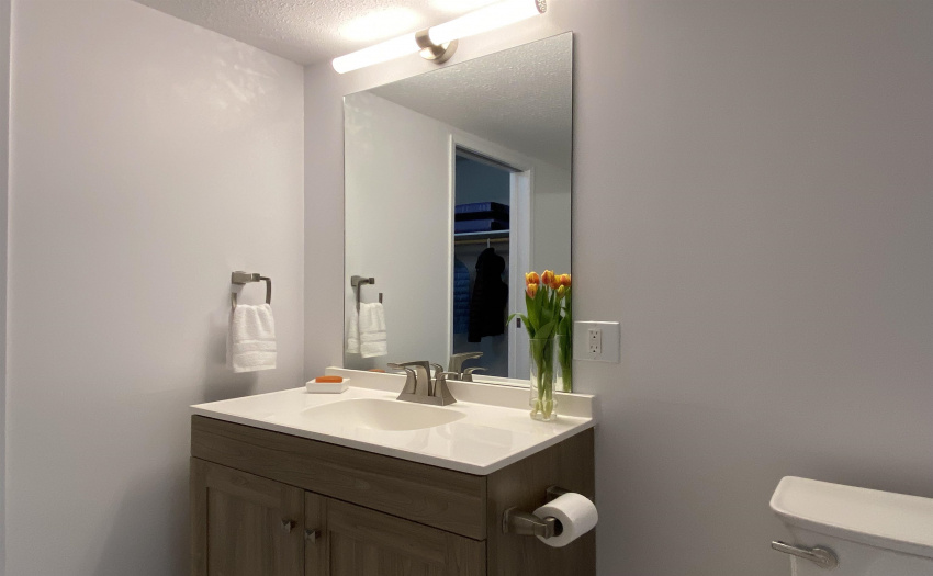 Updated Bathroom with walk in shower with assist handles