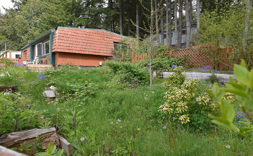 View from garden back to home.  Garden needs a diligent gardener to uncover the treasures here!