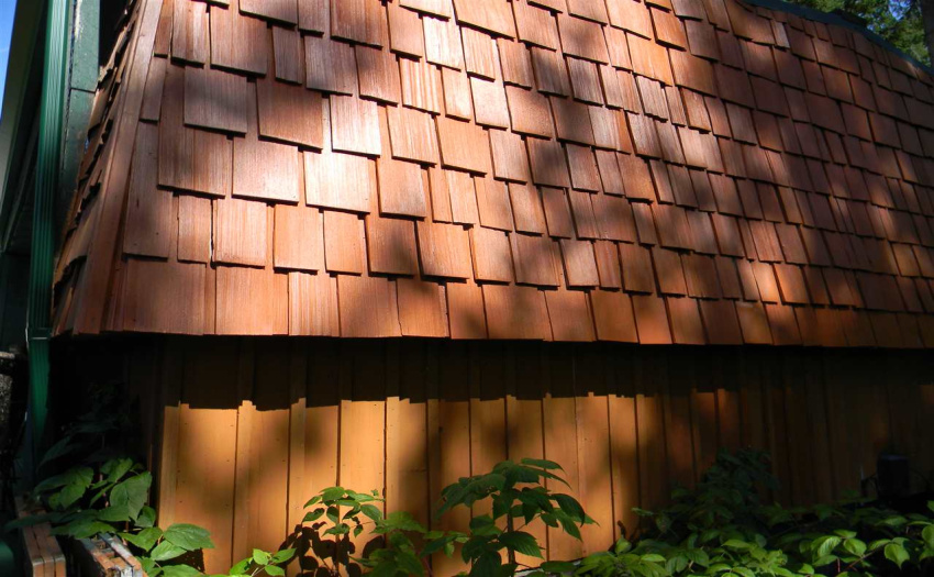 Siding detail. Old growth cedar shingles - no knots.