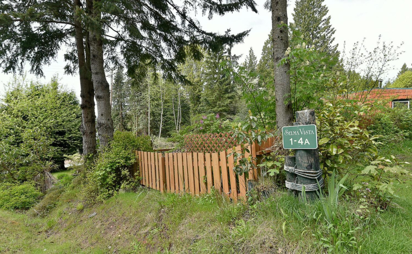 This home has a lovely side garden - needs some love.  Raspberry bushes, flowers and more...