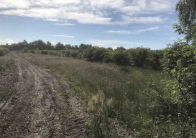 LT 3 JOHNSTONE, Richmond, BC V0V 0V0, ,Land Only,For Sale,JOHNSTONE,R2282092