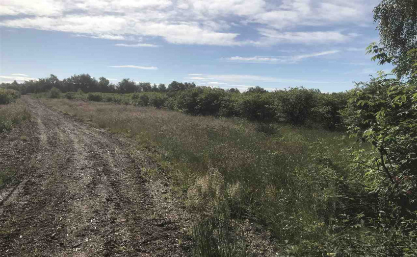 LT 3 JOHNSTONE, Richmond, BC V0V 0V0, ,Land Only,For Sale,JOHNSTONE,R2282092