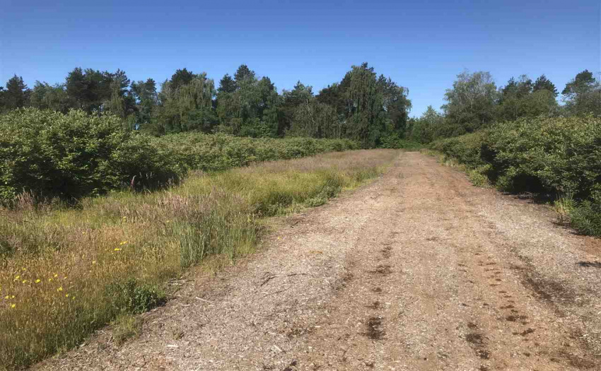LT 3 JOHNSTONE, Richmond, BC V0V 0V0, ,Land Only,For Sale,JOHNSTONE,R2282092
