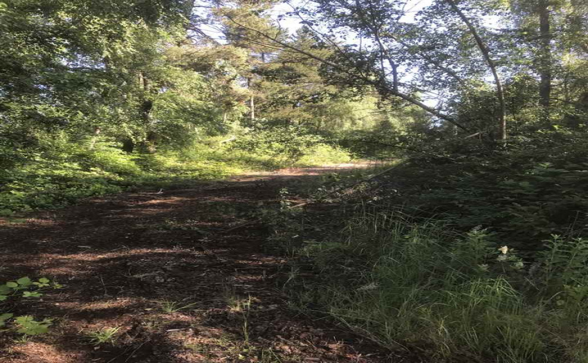 LT 3 JOHNSTONE, Richmond, BC V0V 0V0, ,Land Only,For Sale,JOHNSTONE,R2282092