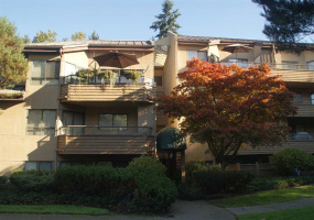 109 1690 AUGUSTA AVENUE, Burnaby, BC V5A 2V6, 1 Bedroom Bedrooms, ,1 BathroomBathrooms,Residential Attached,Sold,109 1690 AUGUSTA AVENUE,R2012551
