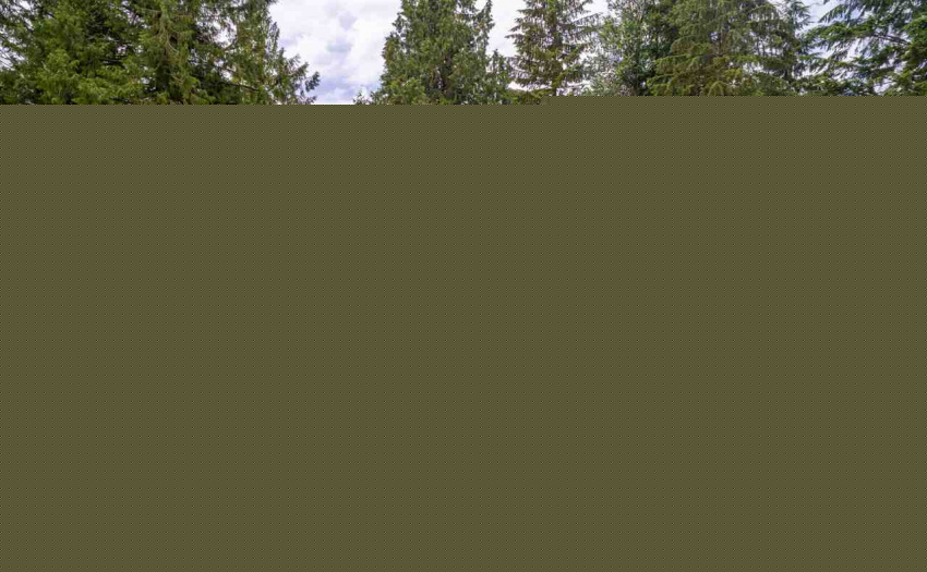 8733 DEWDNEY TRUNK ROAD, Mission, BC V2V 6Y2, 4 Bedrooms Bedrooms, ,4 BathroomsBathrooms,Residential Detached,Sold,8733 DEWDNEY TRUNK ROAD,R2465474